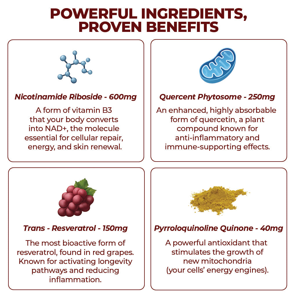 VapoShine Zooone™ NAD+ Berry Flavor Drink Mix