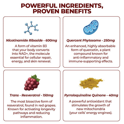 VapoShine Zooone™ NAD+ Berry Flavor Drink Mix